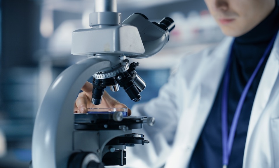 2556717615_huge压缩 2.jpeg