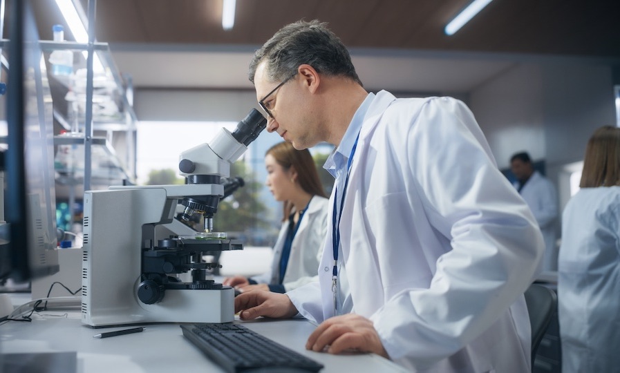 shutterstock_2556311635压缩 2.jpeg